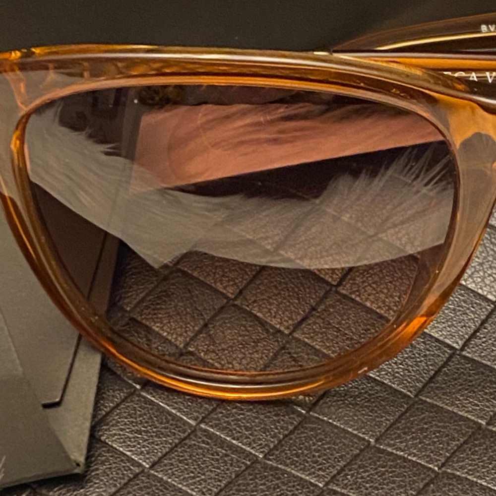 Bottega Veneta Lady Sunglasses - Picture 12 of 15